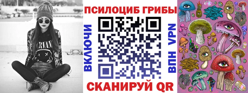 Галлюциногенные грибы мухоморы  где можно купить наркотик  Игра 